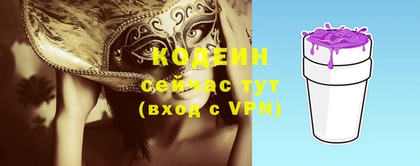 дмт Краснослободск