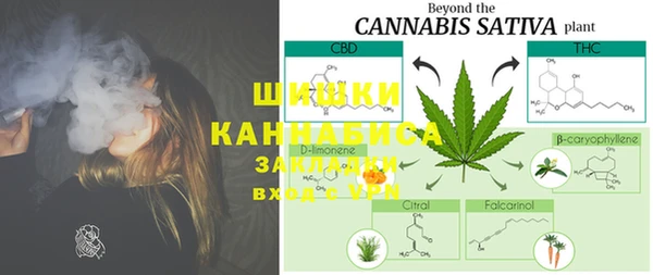 PSILOCYBIN Красноперекопск