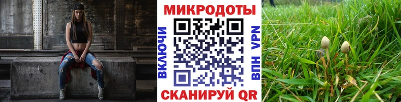 где купить наркоту  Солигалич  Псилоцибиновые грибы прущие грибы 